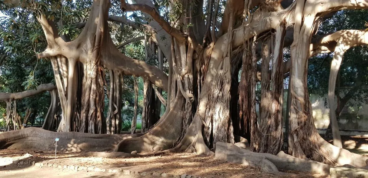 Appartamento Casa Albergheria Palermo