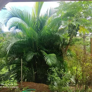  Appartement Tropicale Charmant T2 Dans Un Cadre Verdoyant Martinique